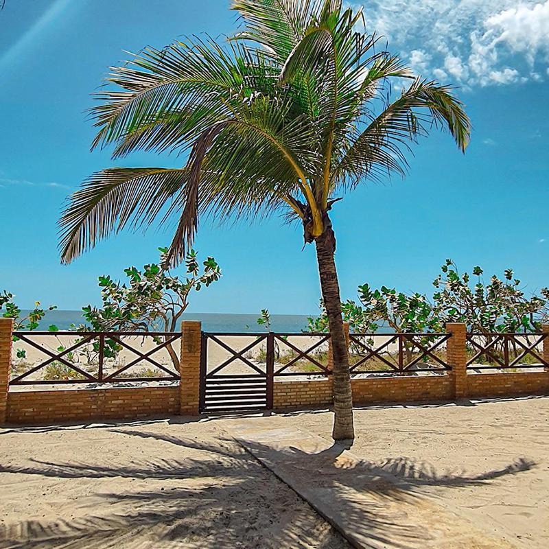 Apartamento House - Loggia 4 - Com Cozinha - Na -beachfront